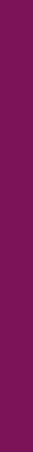 barre violette.png