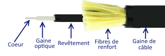 Tout savoir sur la fibre optique